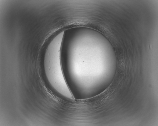 X0000056020688200508190920