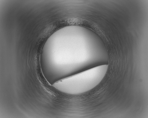 X0000056020690200508190920