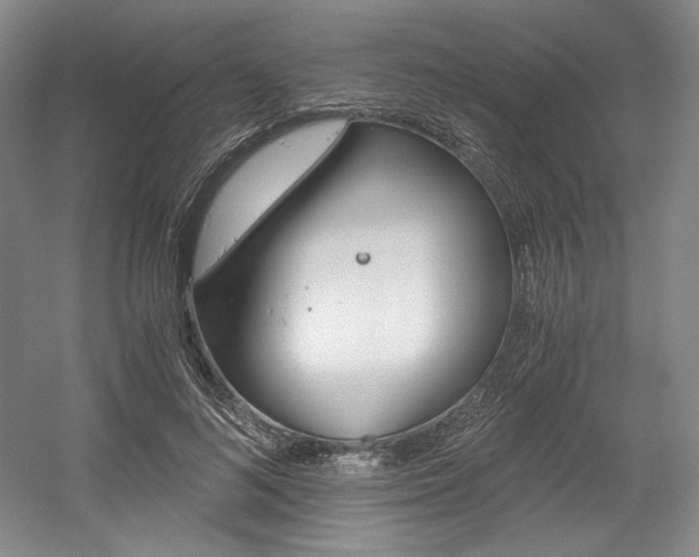 X0000056020692200508190920