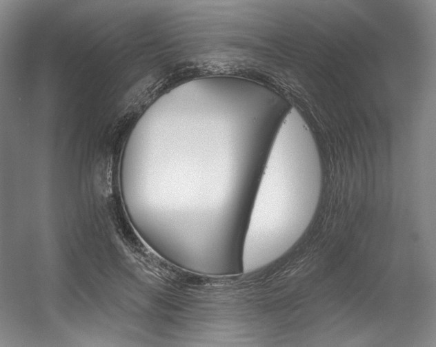 X0000056020694200508190920