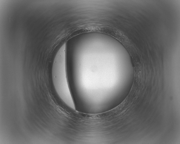 X0000056020696200508190920