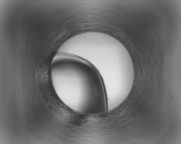 X0000056020697200508190920