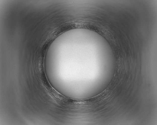 X0000056020698200508190920