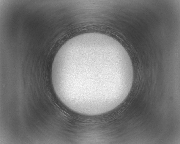X0000056020701200508190920