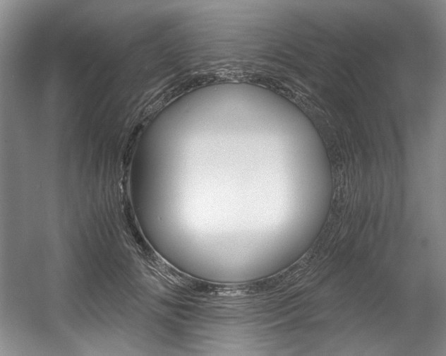 X0000056020702200508190920