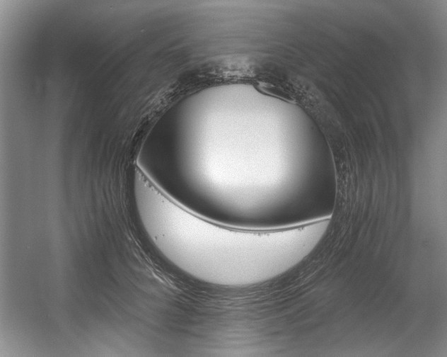X0000056020704200508190920