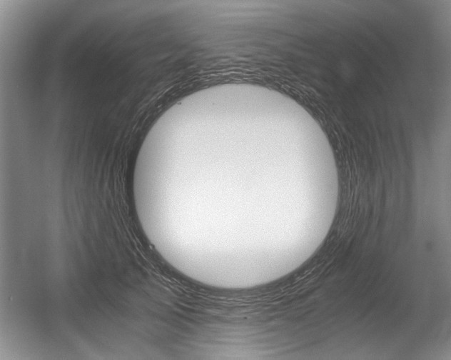 X0000056020705200508190920