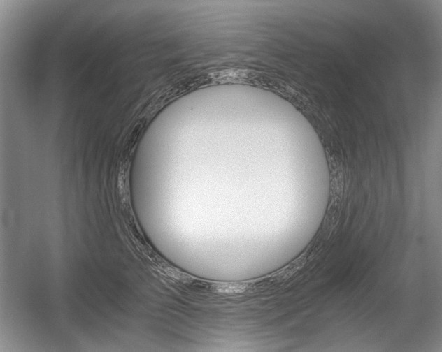 X0000056020709200508190920