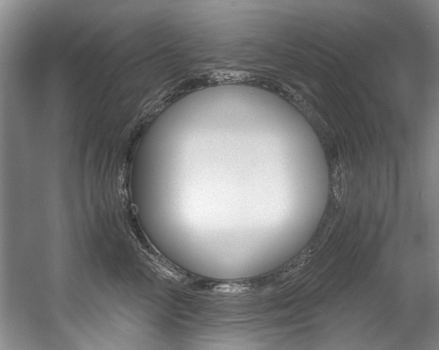 X0000056020714200508190920