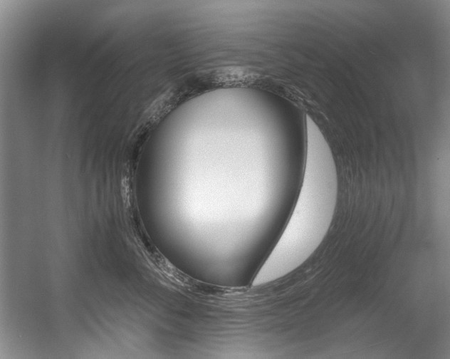 X0000056020716200508190920
