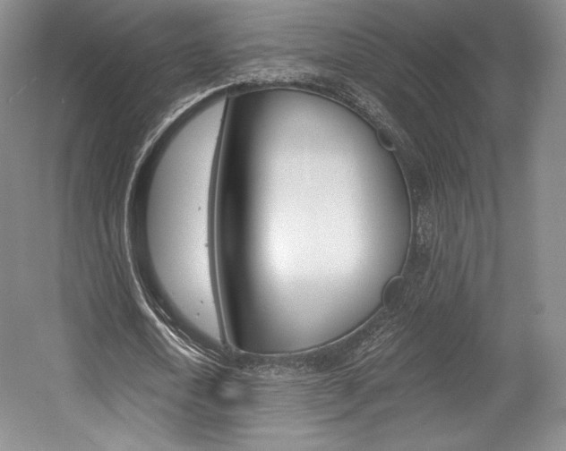 X0000056020722200508190919