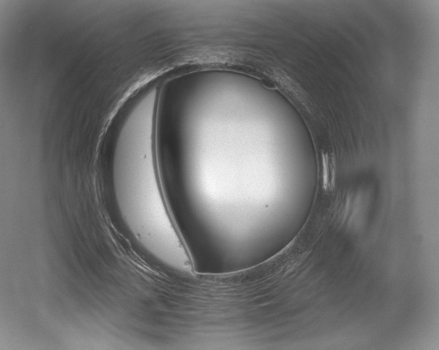 X0000056020723200508190919