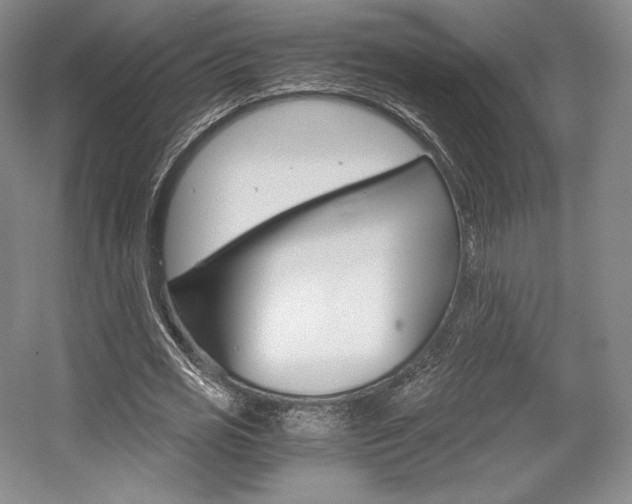 X0000056020725200508190919