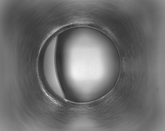 X0000056020726200508190919