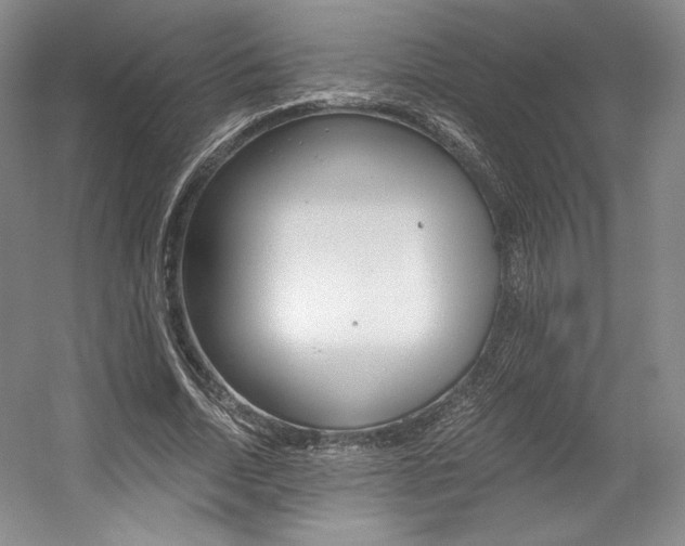 X0000056020730200508190919