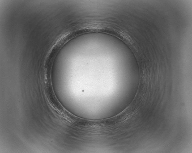 X0000056020731200508190919