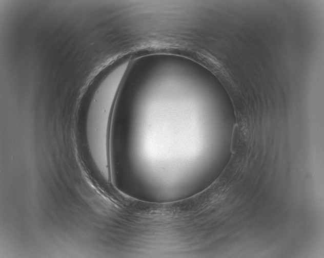 X0000056020732200508190919