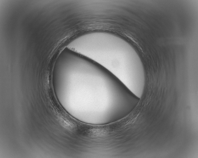 X0000056020733200508190919