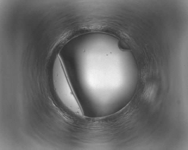 X0000056020735200508190919
