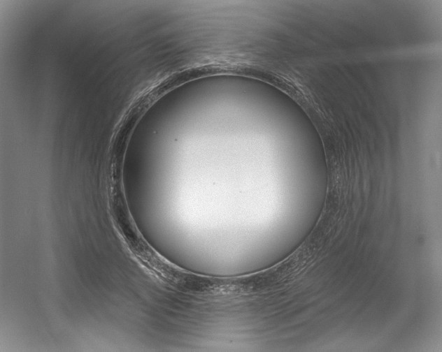 X0000056020736200508190919