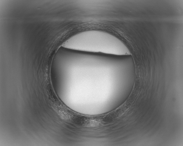 X0000056020737200508190919