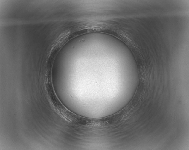 X0000056020738200508190919