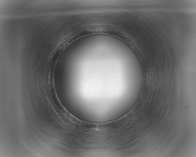 X0000056020739200508190919