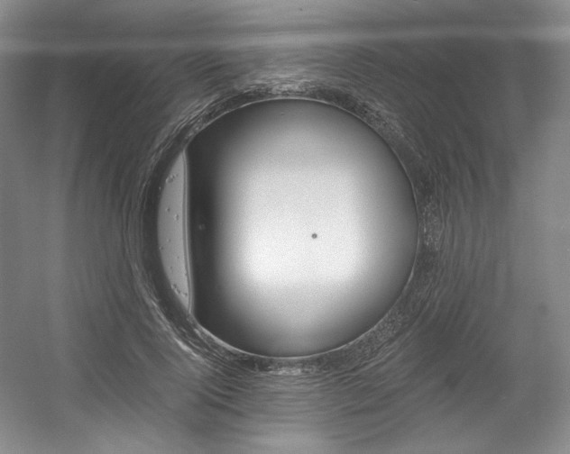 X0000056020740200508190919