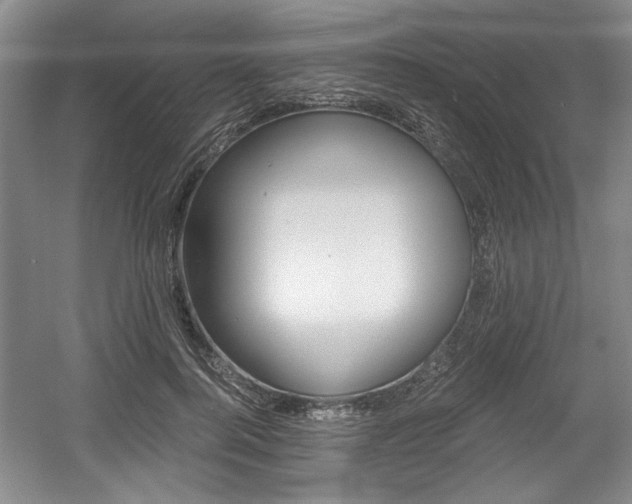 X0000056020744200508190920