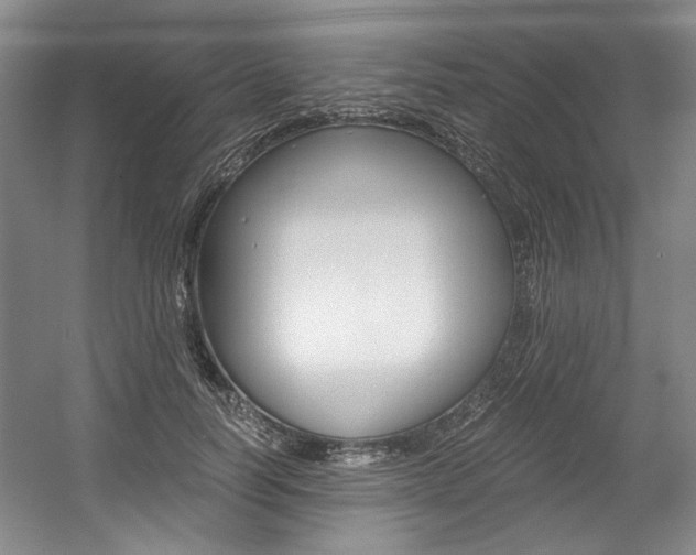 X0000056020746200508190920