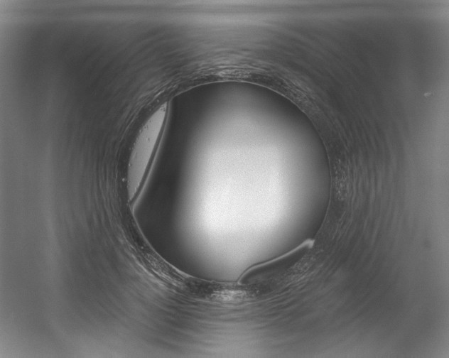 X0000056020748200508190920