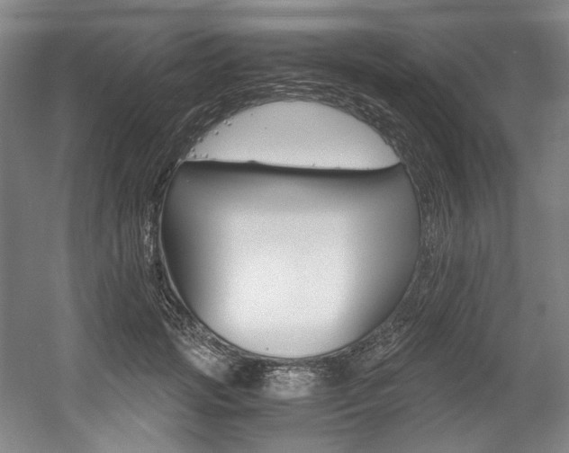 X0000056020749200508190920