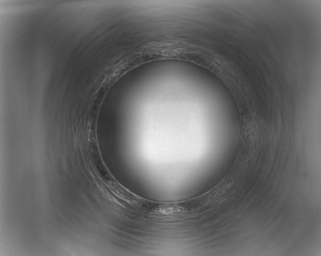 X0000056020752200508190920
