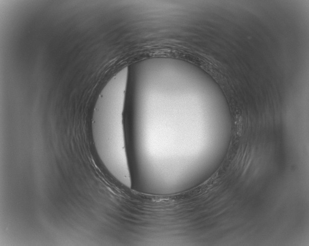 X0000056020753200508190920