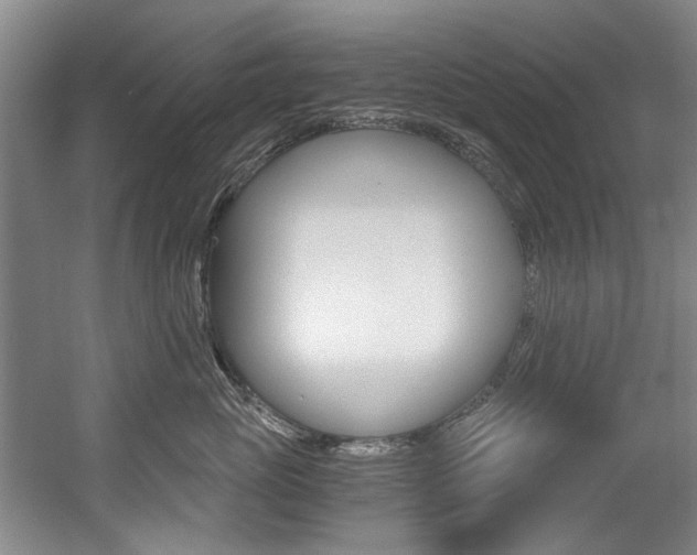 X0000056020765200508190920