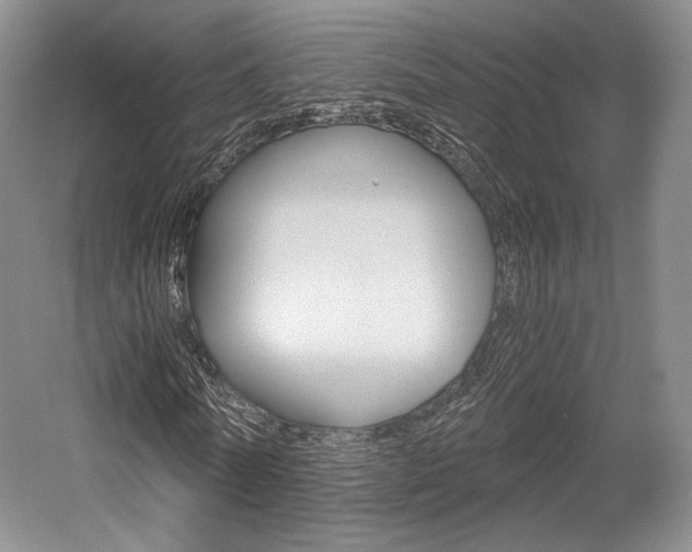 X0000056020770200508190919
