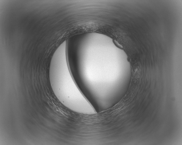 X0000056020772200508190919