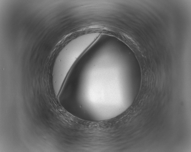 X0000056020776200508190919