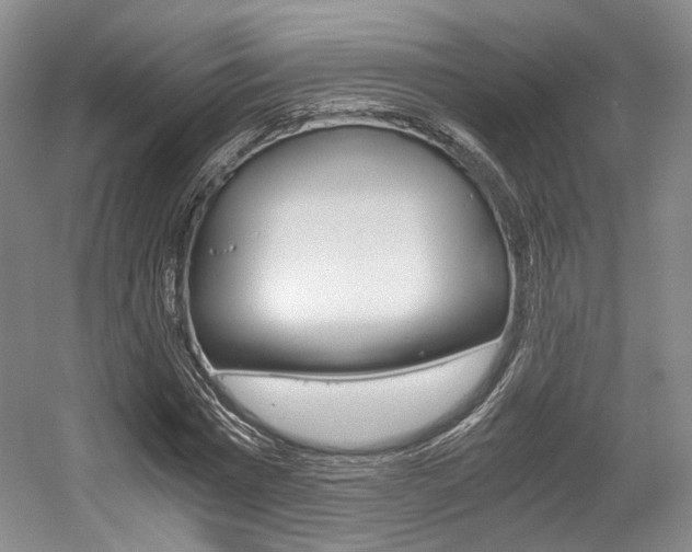 X0000056020777200508190919