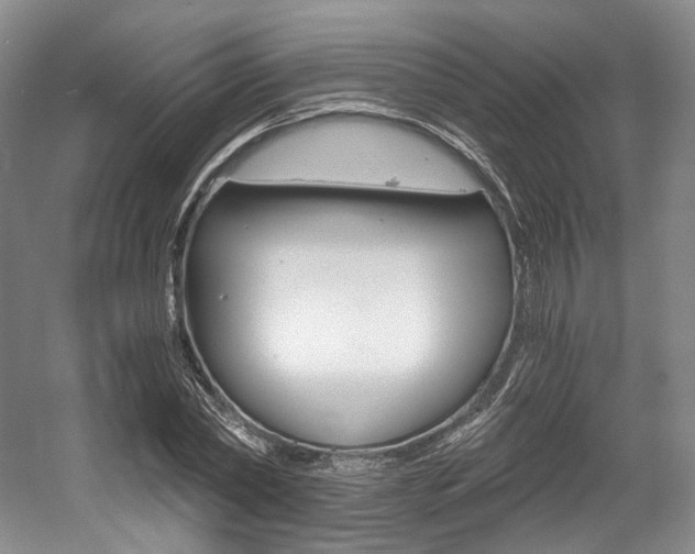X0000056020782200508190919