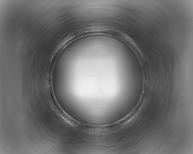X0000056020786200508190919