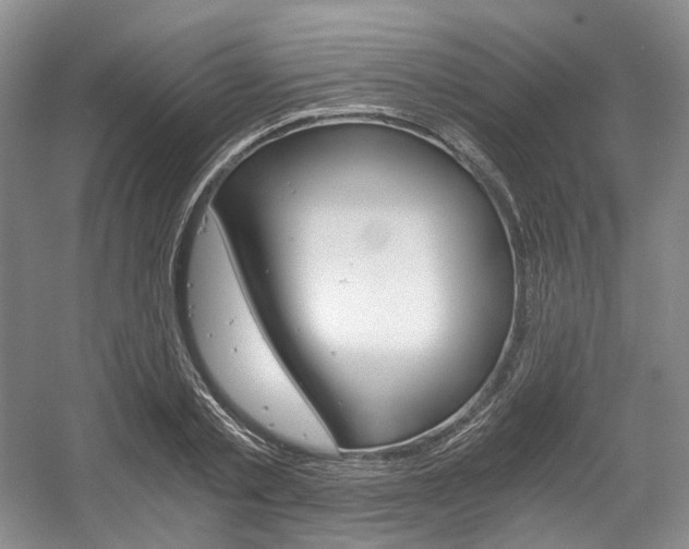 X0000056020789200508190919