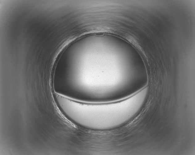 X0000056020797200508190919