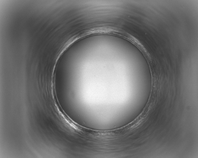 X0000056020802200508190919