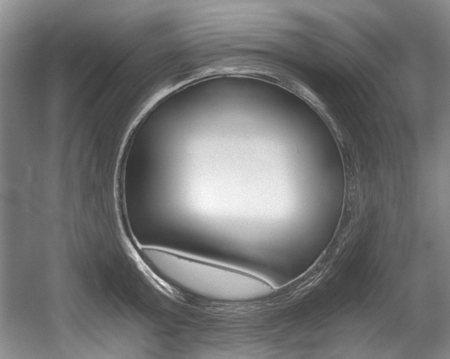X0000056020803200508190919