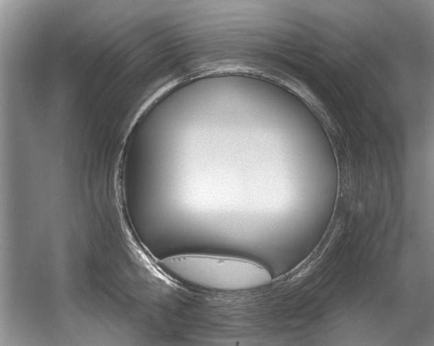 X0000056020806200508190918