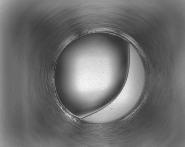 X0000056020809200508190918