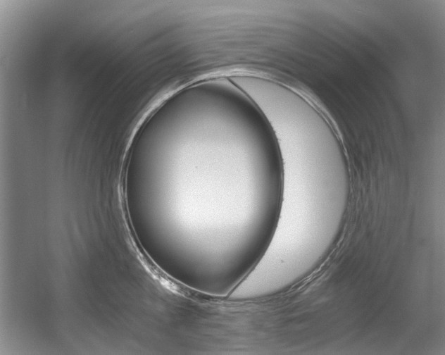 X0000056020813200508190918