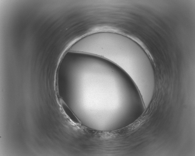 X0000056020815200508190918