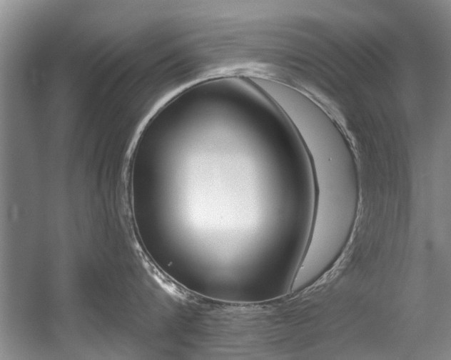 X0000056020816200508190918